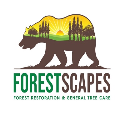 ForestScapes